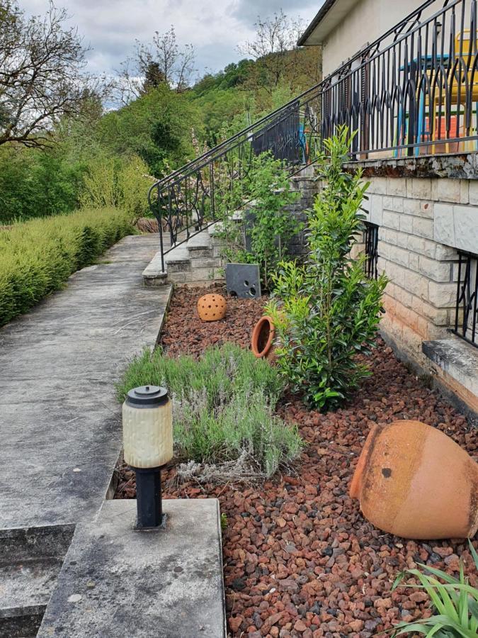 Le Curieux De Conques Bed & Breakfast Saint-Cyprien-sur-Dourdou Dış mekan fotoğraf