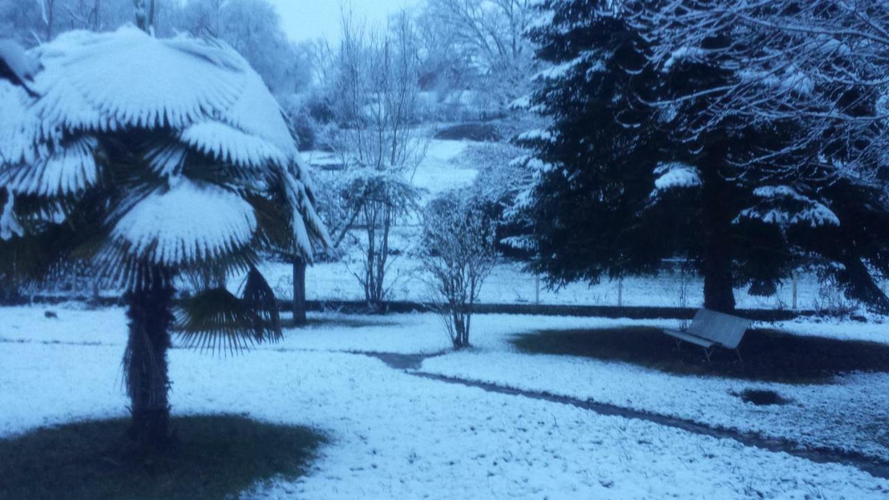 Le Curieux De Conques Bed & Breakfast Saint-Cyprien-sur-Dourdou Dış mekan fotoğraf