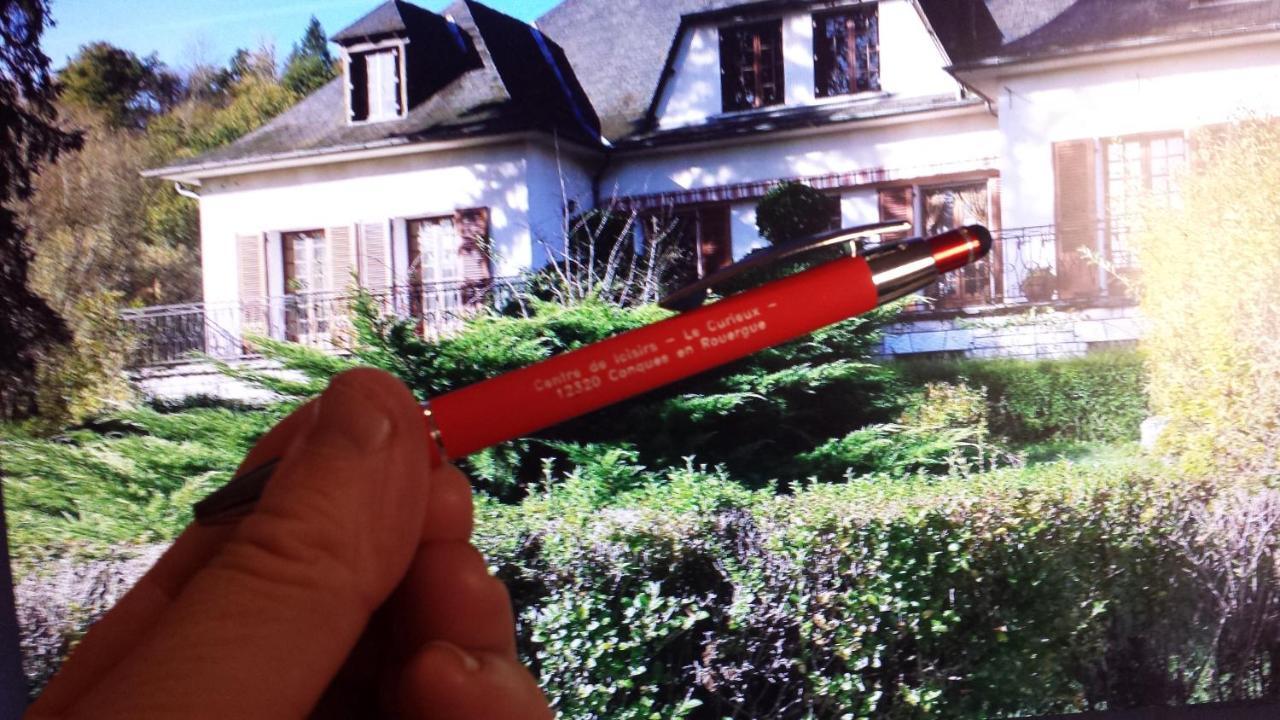 Le Curieux De Conques Bed & Breakfast Saint-Cyprien-sur-Dourdou Dış mekan fotoğraf